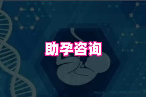 生殖助孕网站 4